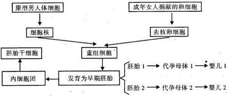 器官移植技術 現狀、挑戰與前景