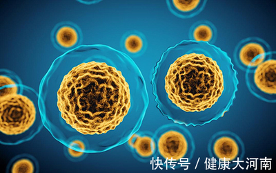 補腎抗衰新前沿？干細胞療法——機遇與風險并存的人體實驗
