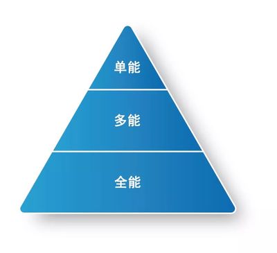 漢氏聯合成果專欄:開創胎盤亞全能干細胞專利技術