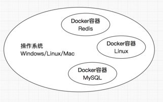 融合創新 Docker容器化游戲開發環境與人體干細胞技術的交叉應用展望