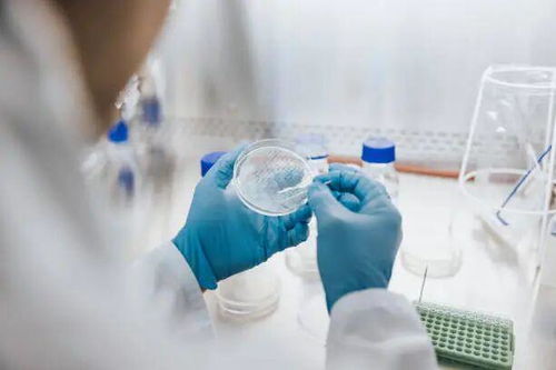 干細胞技術為老年衰弱癥帶來新希望 148名患者治療后身體機能顯著改善