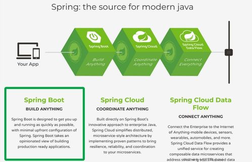 為什么越來越多的開發者選擇使用Spring Boot，兼談快速認識其技術棧與人體干細胞技術的開發和應用