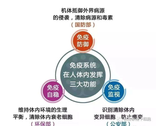面對疾病 中科干細胞是調節免疫系統的絕佳方案