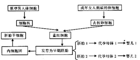 器官移植技術分析 現狀與前景