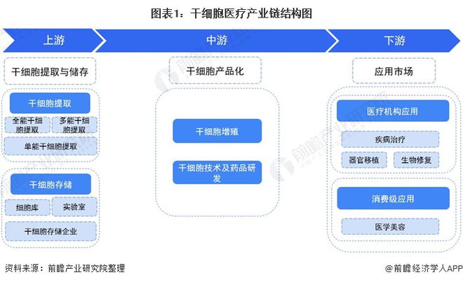 精析干知 干細胞醫療產業鏈全景與區域熱度啟示