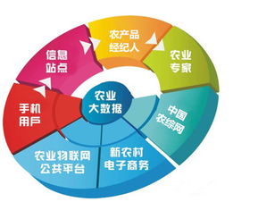 農(nóng)業(yè)市場(chǎng)雖難做，網(wǎng)絡(luò)技術(shù)賦能，鄉(xiāng)村也能出富豪