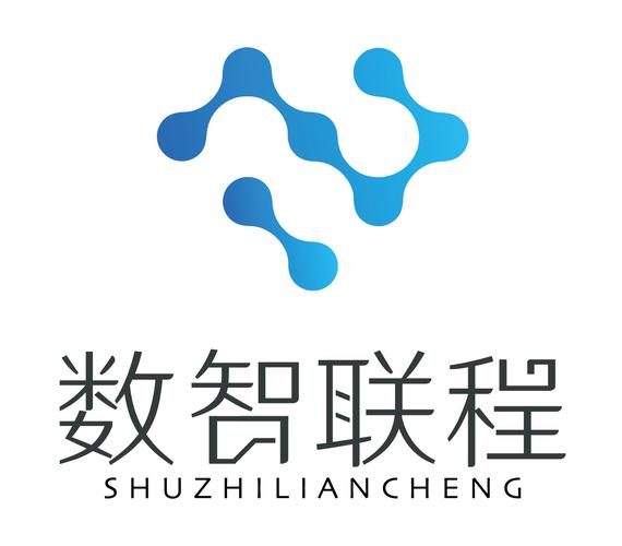 數智引領，聯程賦能——數智聯程（重慶）科技網絡技術服務深度解析